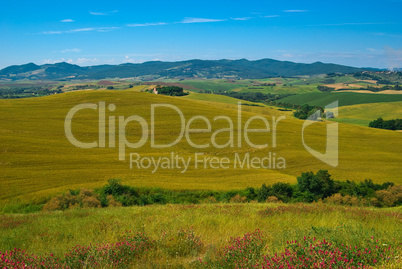 Landschaft in der Toskana, Italien - Landscape in tuscany, italy