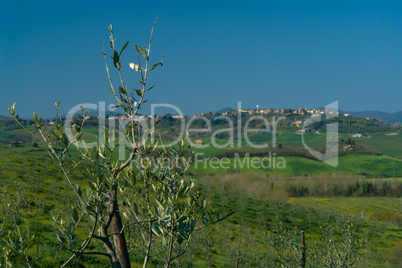 Lajatico, Toskana/Tuscany