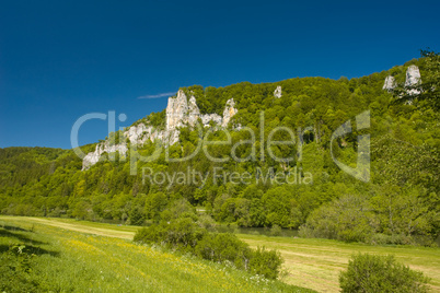 Im Donautal - In the Donau valley