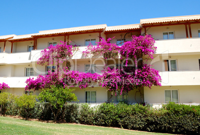 Hotel building decorated with beautiful flowers, Crete, Greece