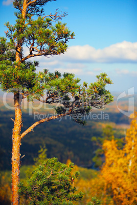 autumn landscape