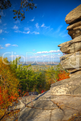 autumn landscape