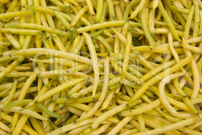Gartenbohne (Phaseolus vulgaris), Fisole, Grüne Bohne, Prinzessbohne, Vizebohne,  Keniabohne, Wachsbohne - common bean, Phaseolus vulgaris