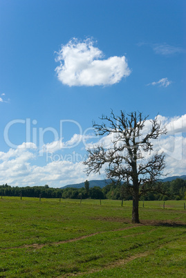 Vogesen Landschaft - Landscape in the Vosges Mountains