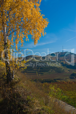 Landschaft am Kaiserstuhl Landscape in Kaiserstuhl/Germany