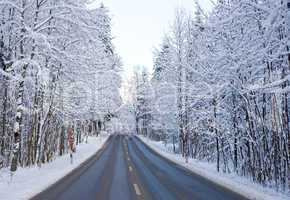 Straße im Winter - Street during Wintertime