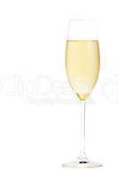 sektglas mit kaltem champagner gefüllt