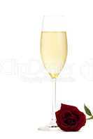 kalter champagner mit einer nassen roten rose
