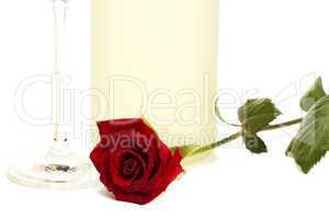 rote nasse rose vor einem sektglas und einer stehenden flasche prosecco