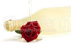 eine nasse rote rose unter einer flasche prosecco mit einem sektglas