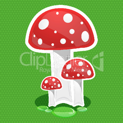 mushroom