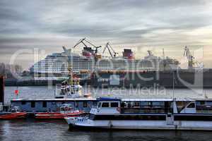 Disney Dream im Hafen Hamburg