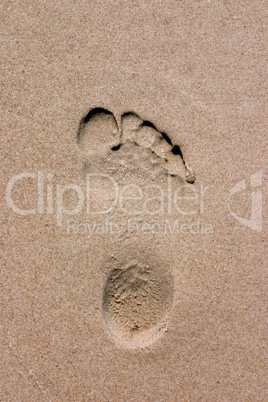 Footprint