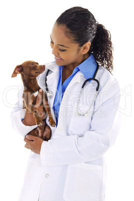 Veterinarian