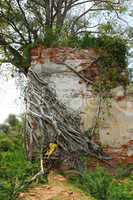 Antient Buddha sculpture in the old Thai park