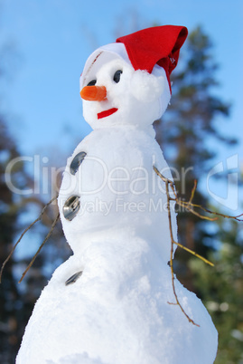 Snowman with hat, carrot nose and scarf