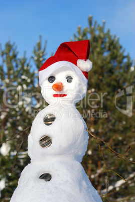 Snowman with hat, carrot nose and scarf