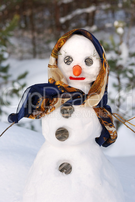 Snowwoman with hat, carrot nose and scarf