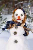 Snowwoman with hat, carrot nose and scarf