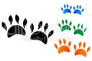 colored animal's paw