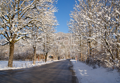 Winter Feeling in Nature with Street