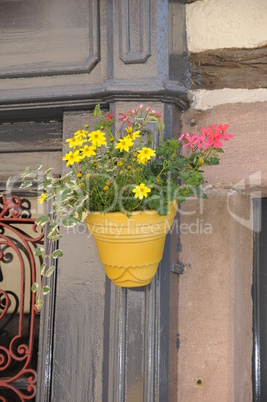 Blumen an einem Haus in Turckheim