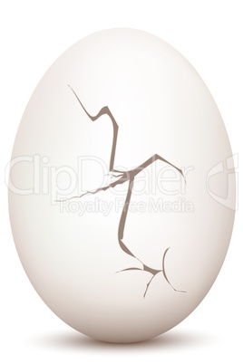 cracked egg