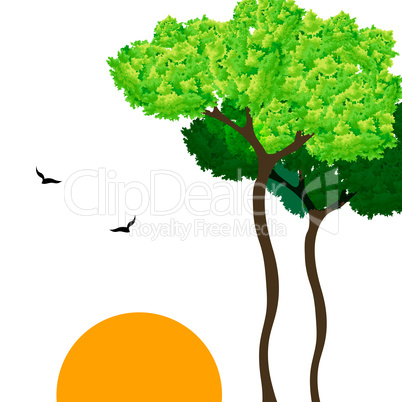 sunrise view with tree