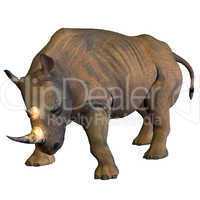 Nashorn