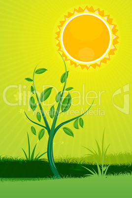 nature card with sun