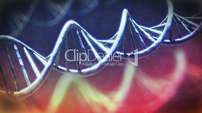 DNA animation