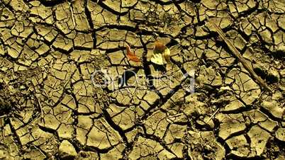 Dried out cracked earth 1