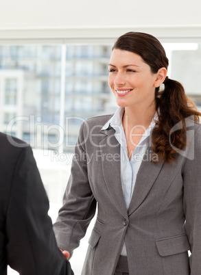 Businesswoman shaking hands with a businssman