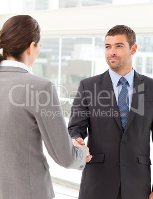 Businessman shaking hands with a businsswoman