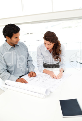 Two attractive architects looking at plans