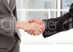 Close up of two businesspeople shaking their hands