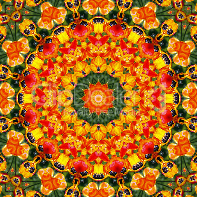 Blüten Mandala 09