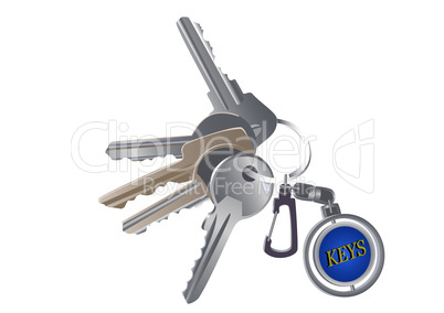 Set of various keys on a charm