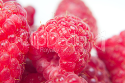 Raspberry