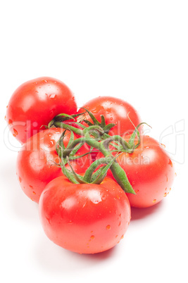 Tomatoes