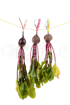 Hanging beet