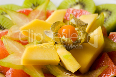 Tropischer Obstsalat -Tropical Fruit Salad