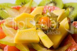 Tropischer Obstsalat -Tropical Fruit Salad