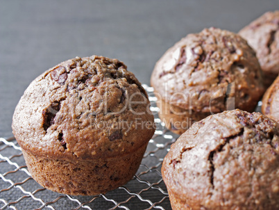 Schokoladen Muffin - Chocolate Muffin