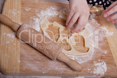 Weihnachtsplätzchen selbst gemacht