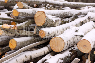 Pile of timber