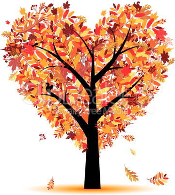 Beautiful autumn tree heart shape for your design