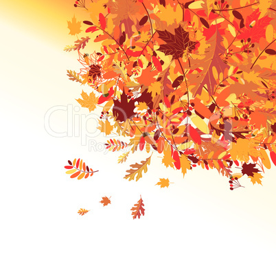 Autumn leaves background for your design