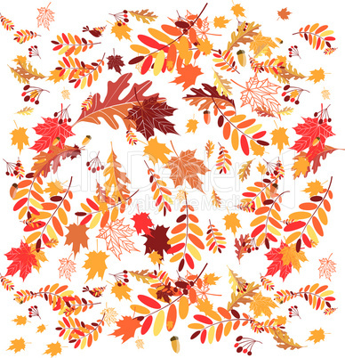 Autumn leaves background for your design