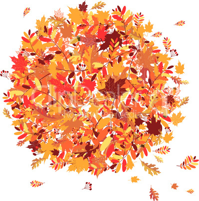 Autumn leaves background for your design